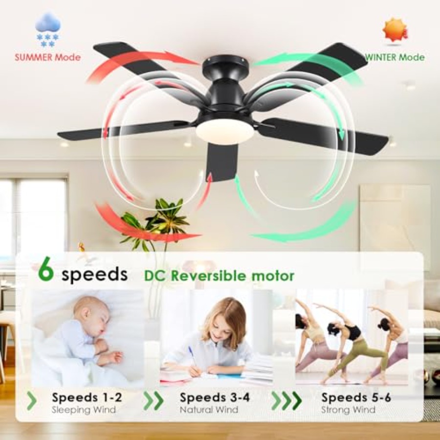 Ceiling Fans with Lights 52 In - Ceiling Fan Low Profile Flush Mount 评论和价格