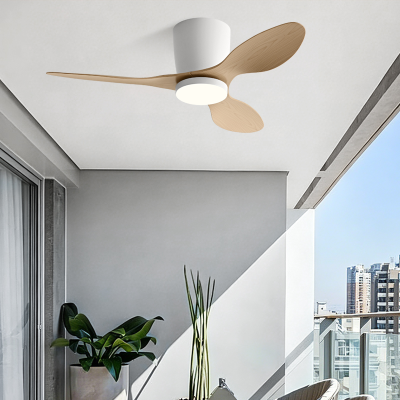 QINIWAKE 25/36 Inch Low Profil - Smart Ceiling Fan With Light Remote 评论和价格
