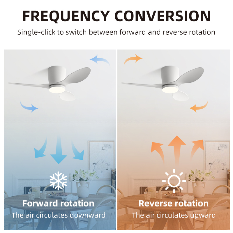 QINIWAKE 25/36 Inch Low Profil - Smart Ceiling Fan With Light Remote 评论和价格