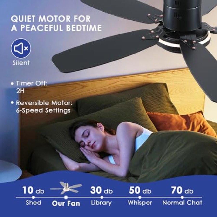 Black Ceiling Fans with Lights - Ceiling Fan Low Profile Flush Mount 评论和价格