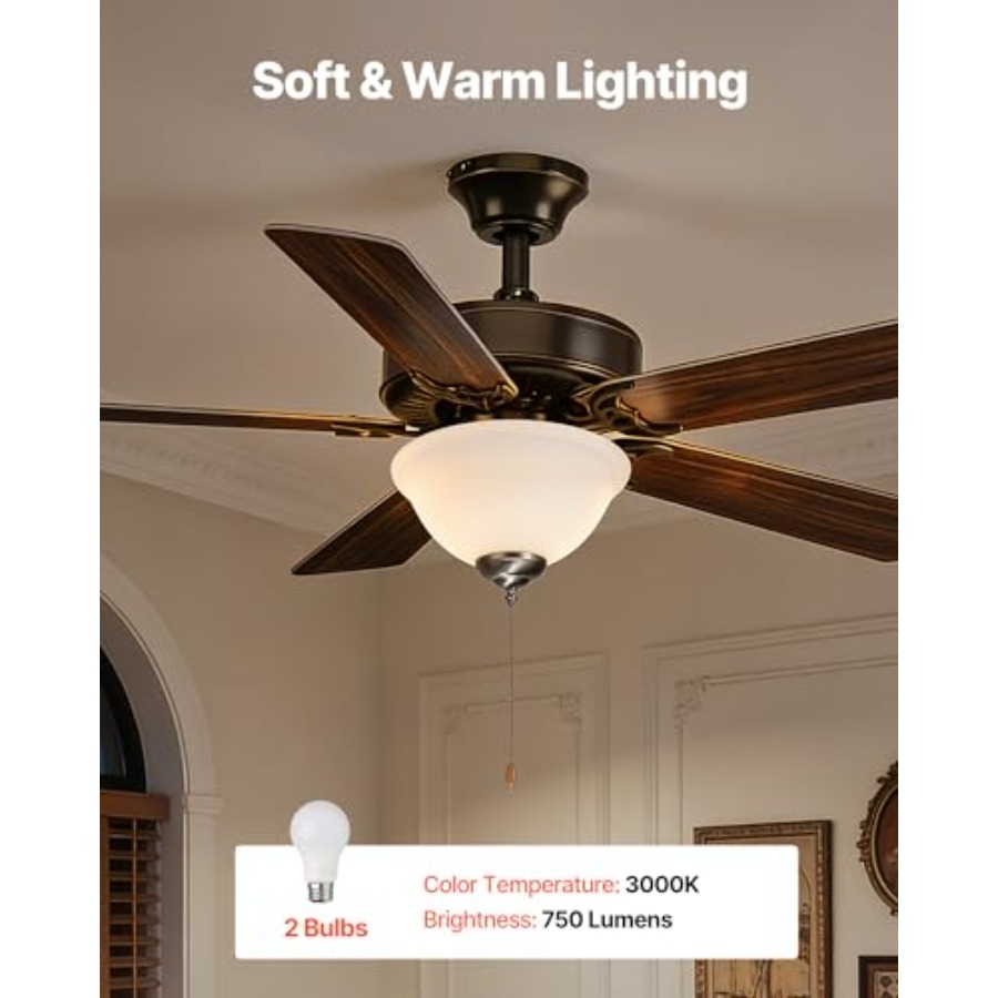 Ceiling Fan Light Kit 750lm 30 - Ceiling Fan Light Kit Replacement 评论和价格
