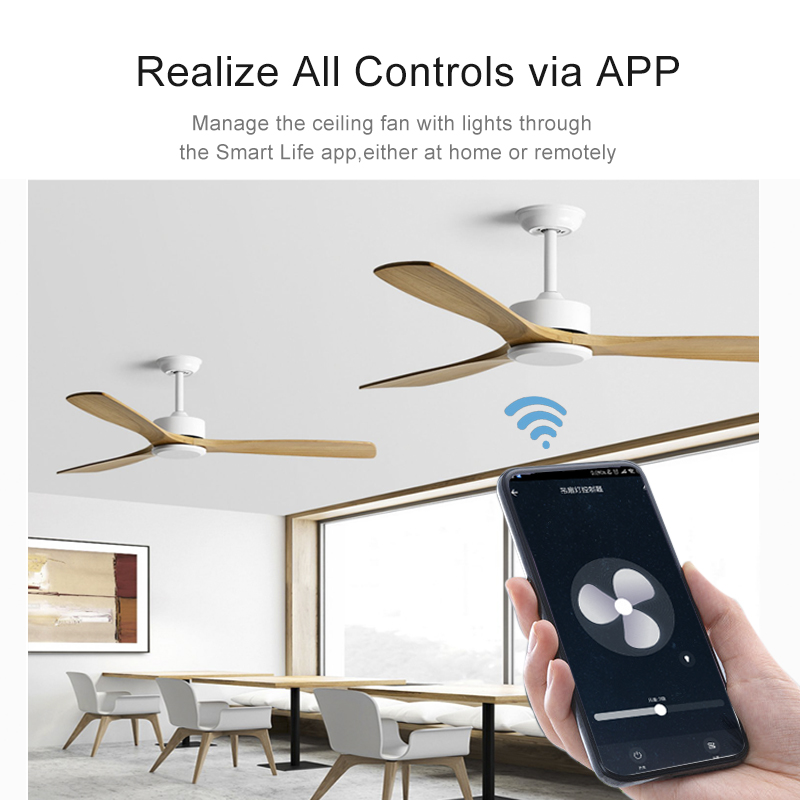 Tuya WiFi Smart Life Ceiling F - Smart Ceiling Fan Alexa Wifi 评论和价格