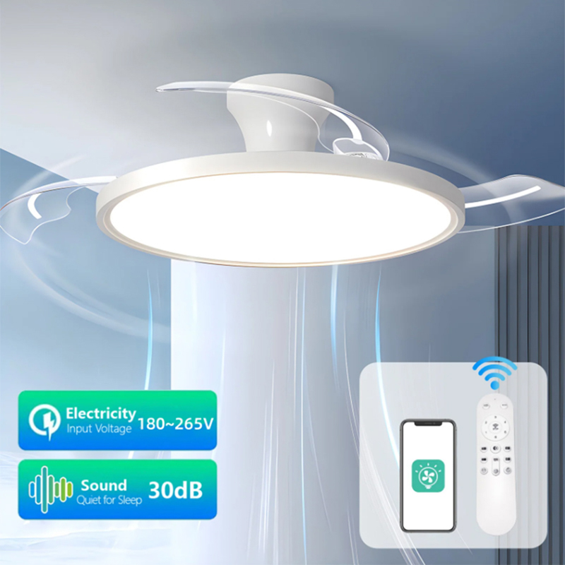 Modern Ceiling Fan Lamps Silen - Ceiling Fan Led 3 Blade Modern 评论和价格