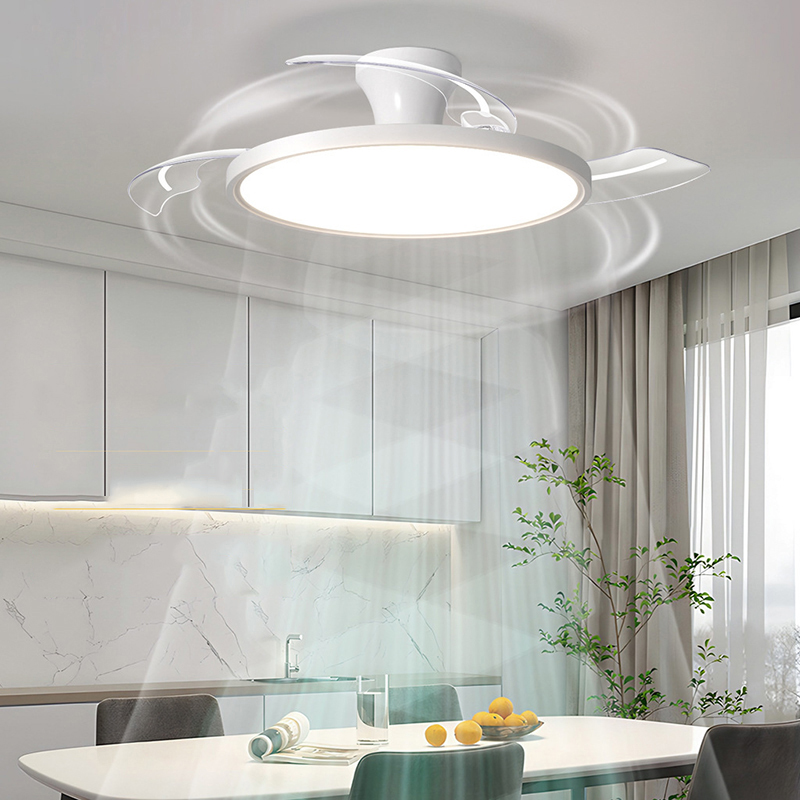 Modern Ceiling Fan Lamps Silen - Ceiling Fan Led 3 Blade Modern 评论和价格