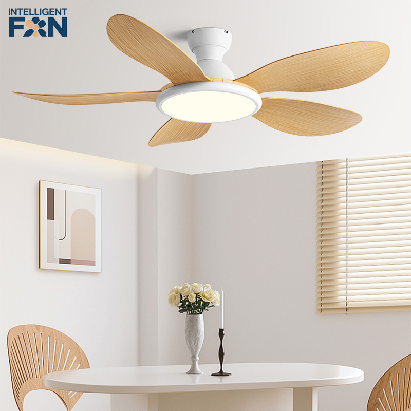 42/52inch Modern LED 60W Low F - Ceiling Fan Dc Motor 52 Inch 评论和价格