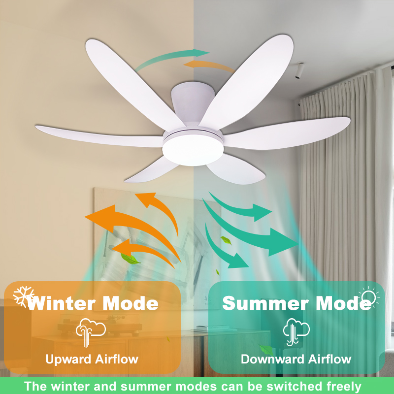 MARPOU Simple Ceiling Fans Wit - Ceiling Fan Led 3 Blade Modern 评论和价格