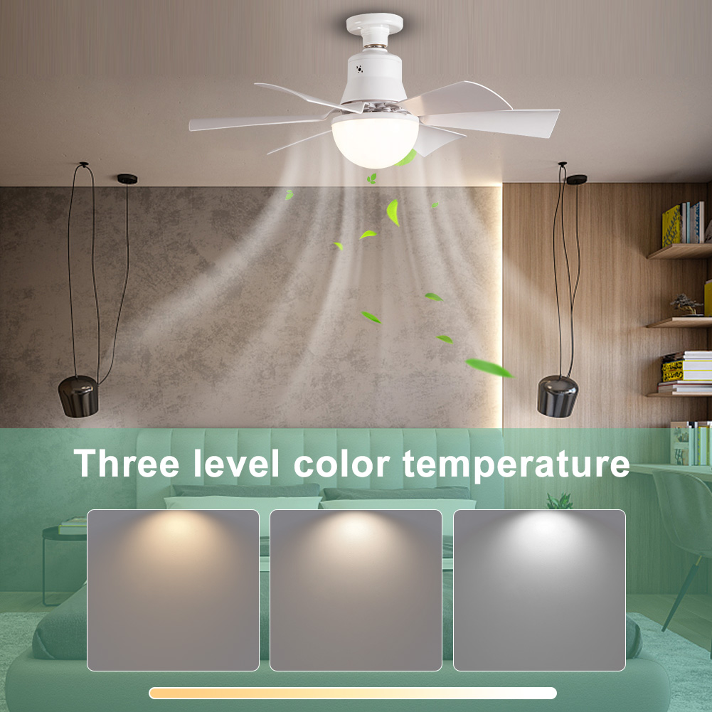 Ceiling Fan Light with Remote  - Ceiling Fan Led 3 Blade Modern 评论和价格