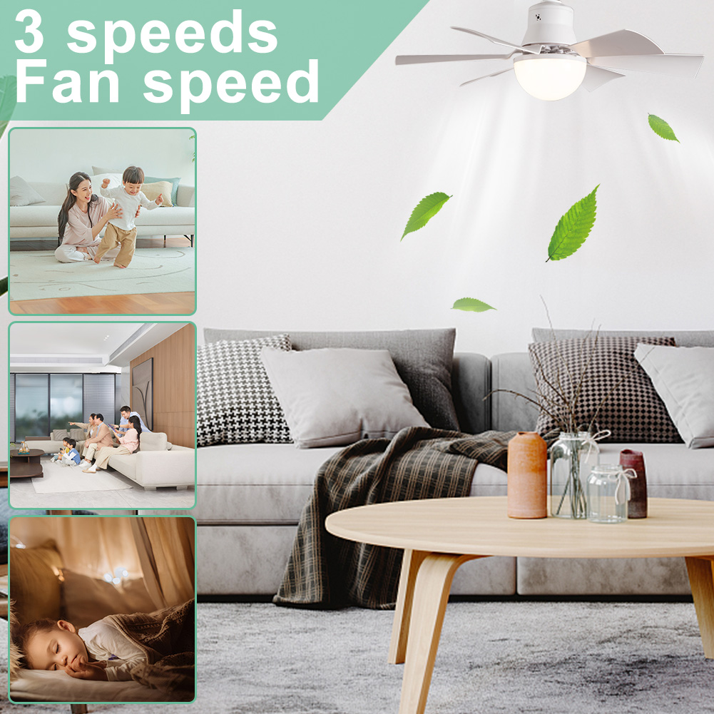 Ceiling Fan Light with Remote  - Ceiling Fan Led 3 Blade Modern 评论和价格