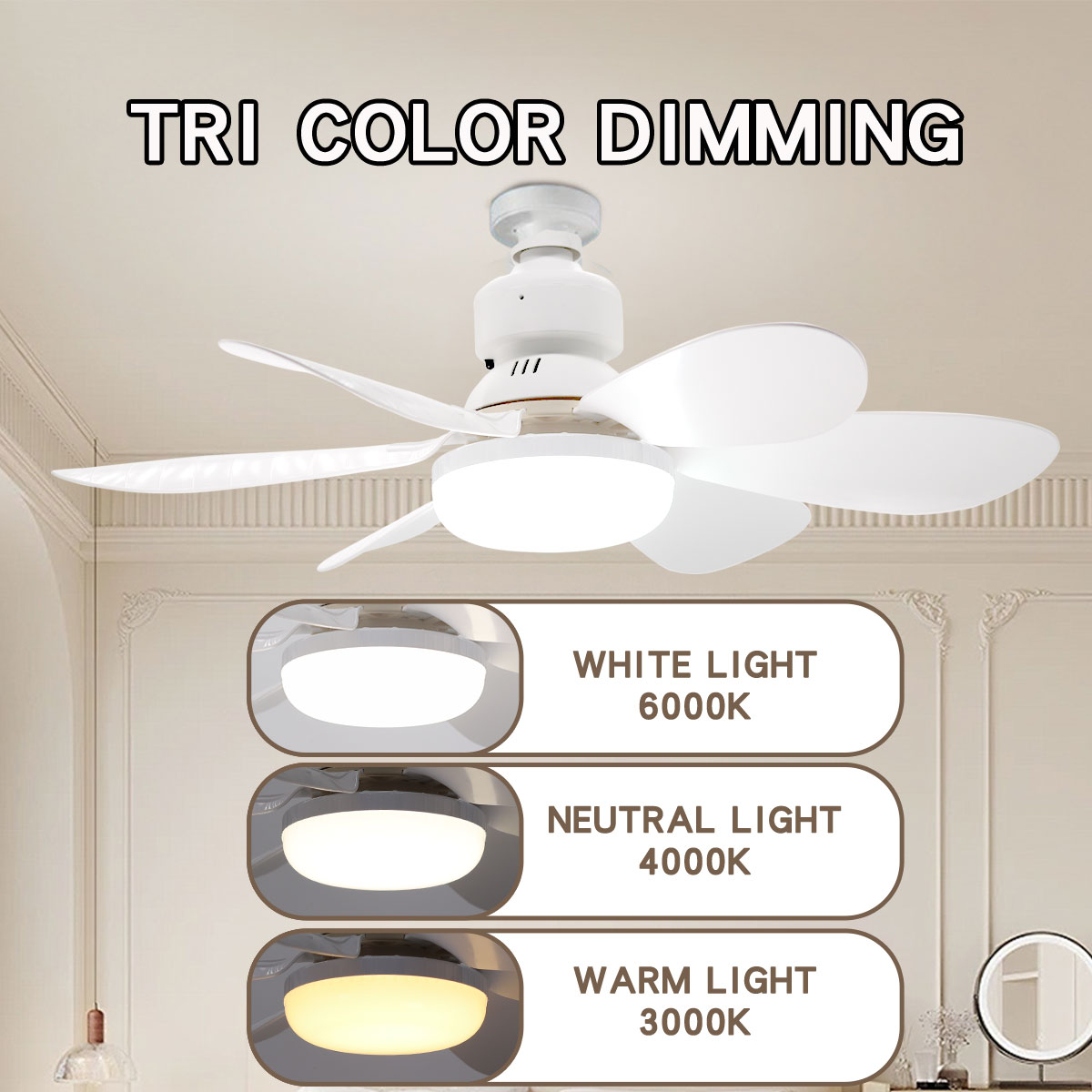 6 Blade Ceiling Fan with LED L - Ceiling Fan Led 3 Blade Modern 评论和价格